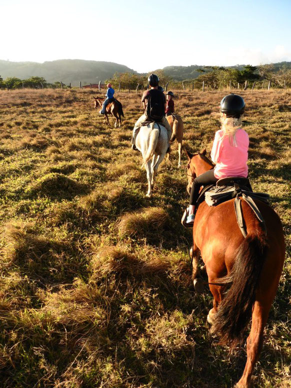 Costa Rica - Sunset Coffee Plantation Horse-Riding - Dodd Family Adventure Blog