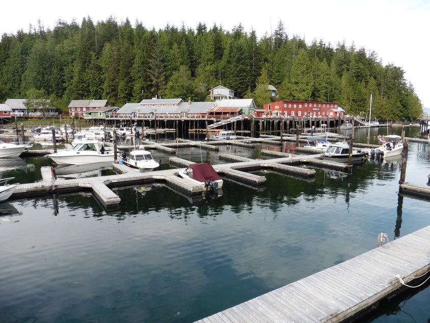 Canada - Telegraph Cove Marina - Dodd Family Adventure Blog