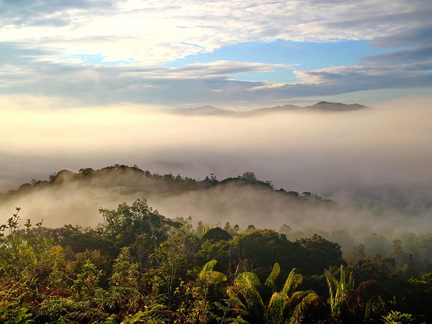Borneo - Mount Kinabalu Mist - Dodd Family Adventure Blog