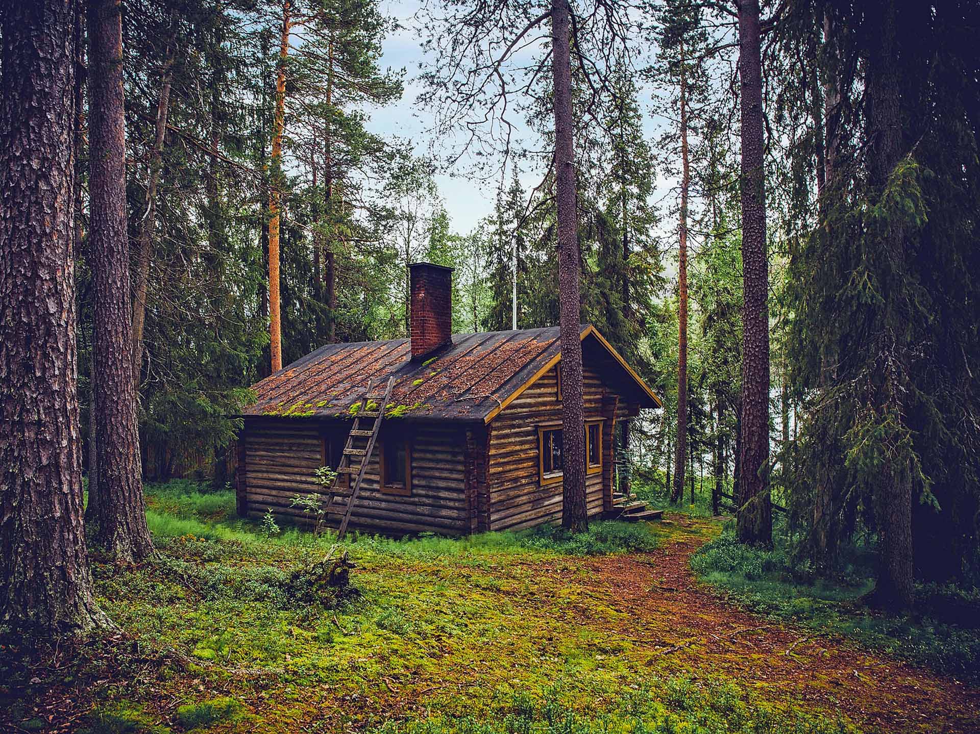 Lapland - The Nightless Night - Family Adventure Holiday